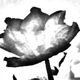 Pencil Sketch 015